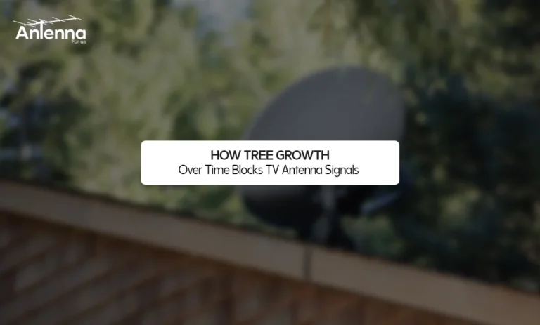 How Tree Growth Over Time Blocks TV Antenna Signals